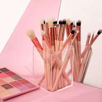 PRO BRUSH SET - 25pc - Makeup and Beauty Courses Online