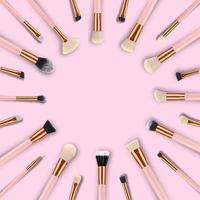 PRO BRUSH SET - 25pc - Makeup and Beauty Courses Online