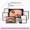 Certificate in Brow Mastery - Online Course Bundle