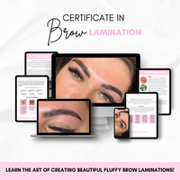 Certificate in Brow Mastery - Online Course Bundle