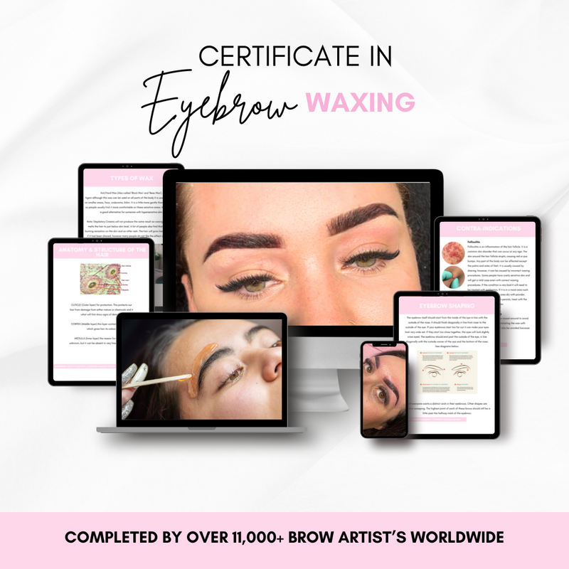 Certificate in Beauty School Basics