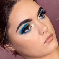 Pro Advanced Makeup Online Course (BLEND & SNAP) - Makeup and Beauty Courses Online